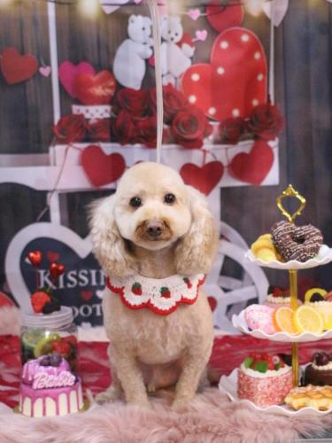 20250209きなこくん